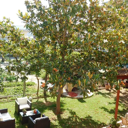 Agios Nikolaos * Edipsos